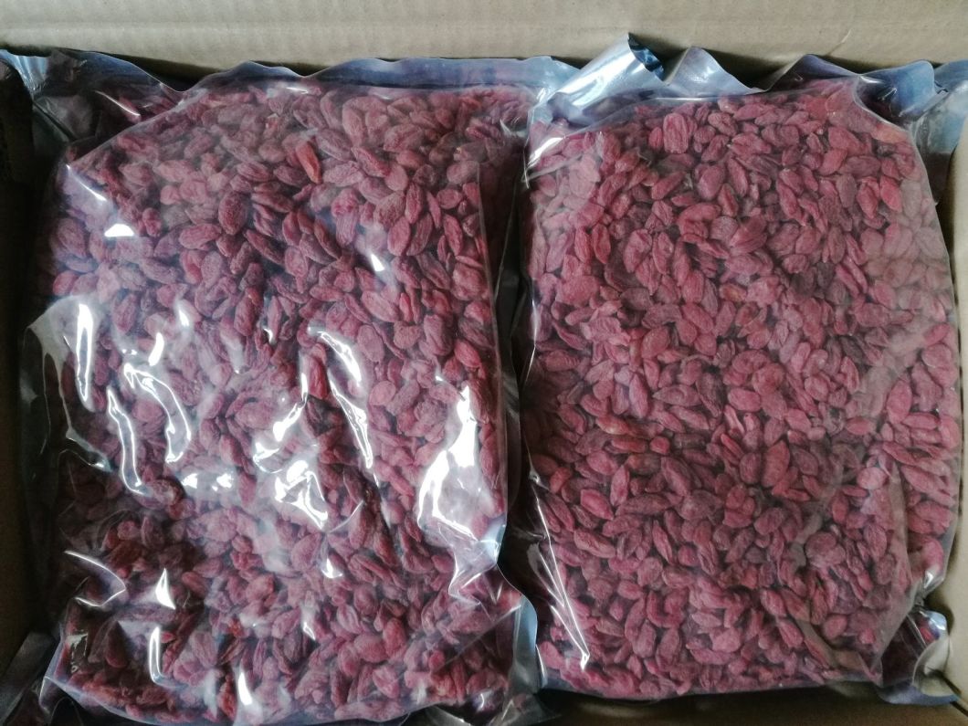 Dried Goji Berry with High Quality From China