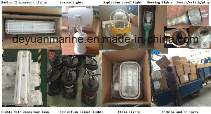 Marine Cfs1 Explosion-Proof Portable Light for Boat