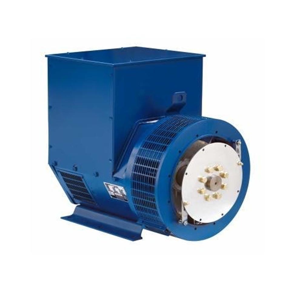 High Voltage Single Bearing Double Bearings Alternator Generator for Power Plant Project