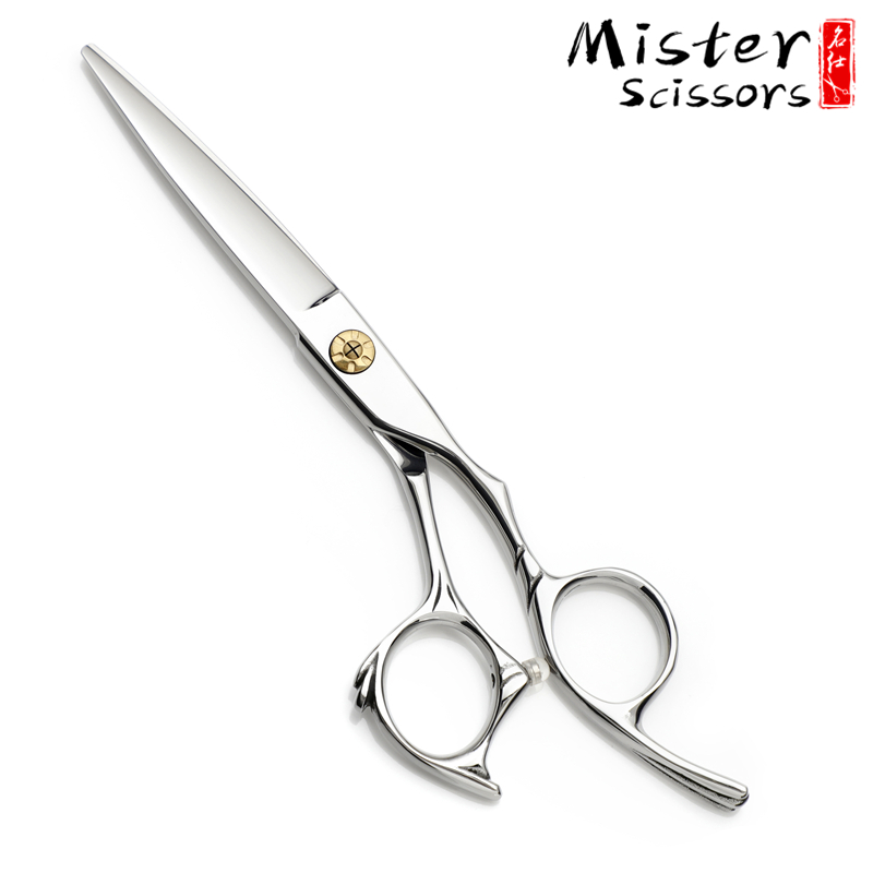 Haarschneidende Friseurschere Hair Cutting Barber Scissor