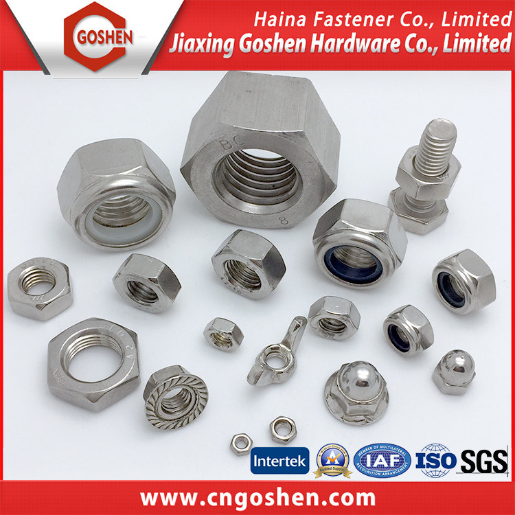 Flange Nut / Cap Nut /Nylon Nut/T Nut/Cage Nut/Wing Nut/ with High Quality