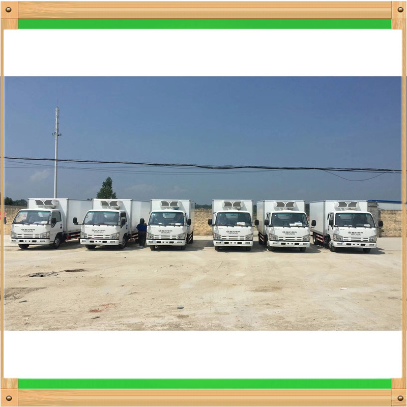 Dongfeng Truck Mounted Refrigerated Unit Box Refrigerated Cargo Van