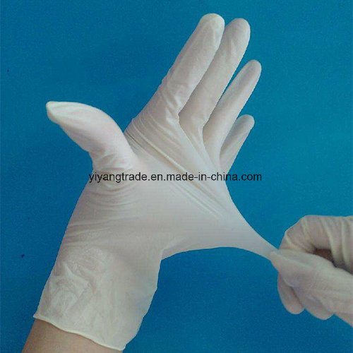 Latex Powdered or Powder Free Surgical Gloves