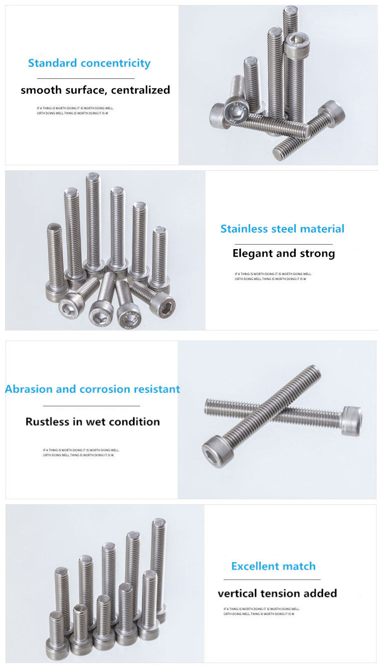 Ss 304 316 Hexagonal Socket Cap Head Bolt