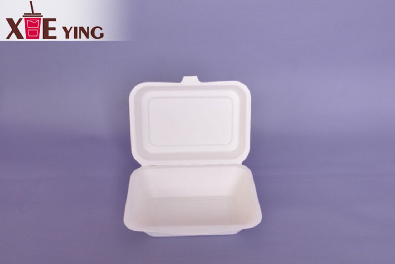 100% Biodegradable Disposable Microwave Food Container Five Compartment Paper Pulp Tray