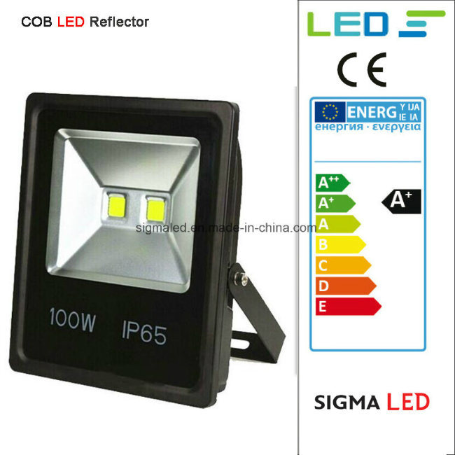 DC10-30V 12V 24V COB LED Floodlight 10W 20W 30W 50W