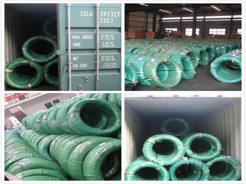 Binding Wire Galvanized Iron Wire in Spool