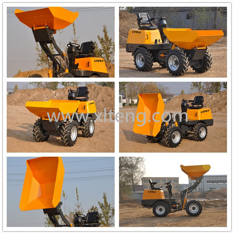 China Mini Ltd10 Wheel Dumper Truck with Ce Certificate