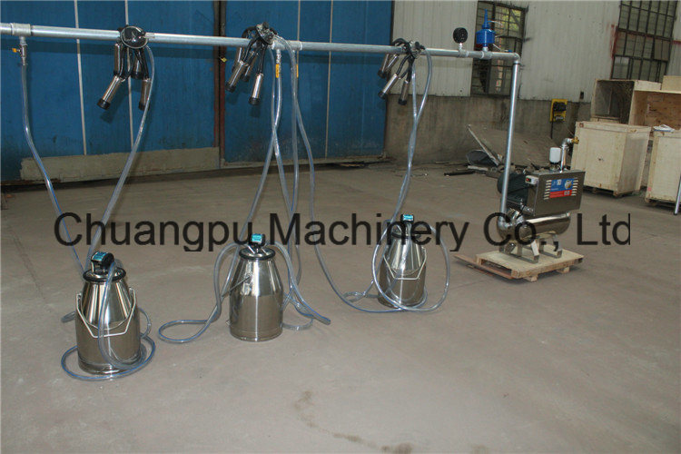 Cow Milking Machine for Sale