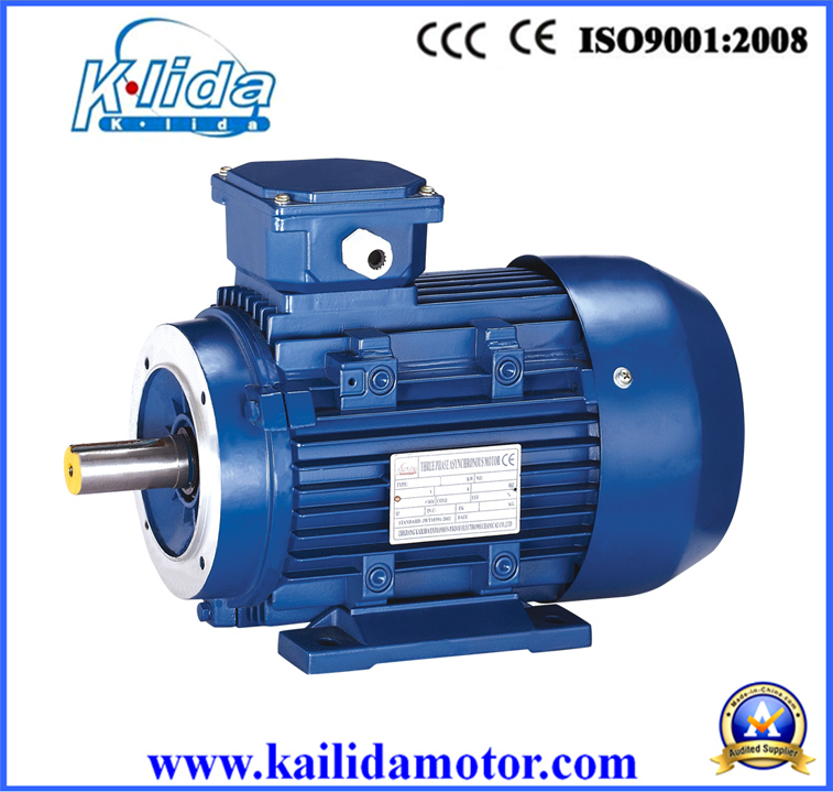 Y3 Series High Torque Three Phase Induction Motor