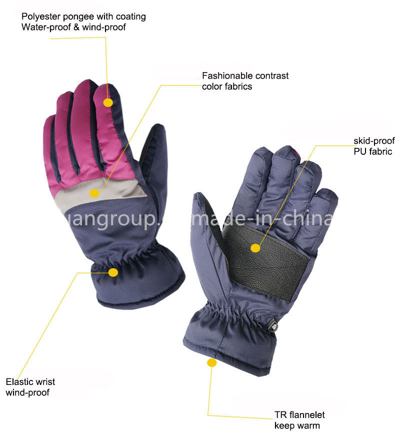 Popular Adult Women Contrast Color Fashion Winter Ski Sports Gloves