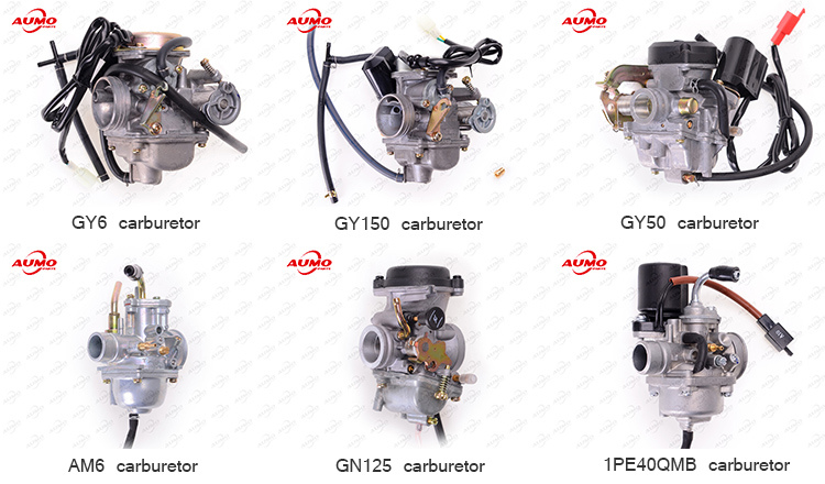 Motorcycle Parts Carburetor for Bike