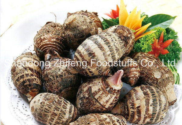 China New Crop Fresh Taro Vegetables with Best Quality