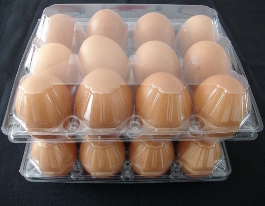 Vacuum Thermoforming Disposable Plastic Packaging Containers