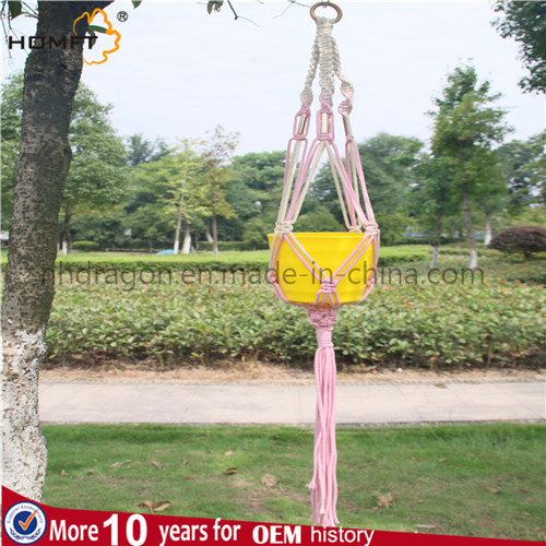 Flower Pot Hanging Inside Outside