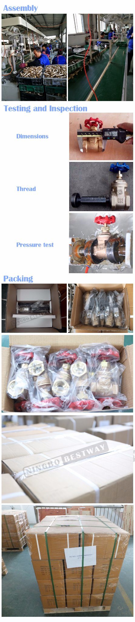 100% on-Time Shipment Protection International Standard Angle Ball Valve