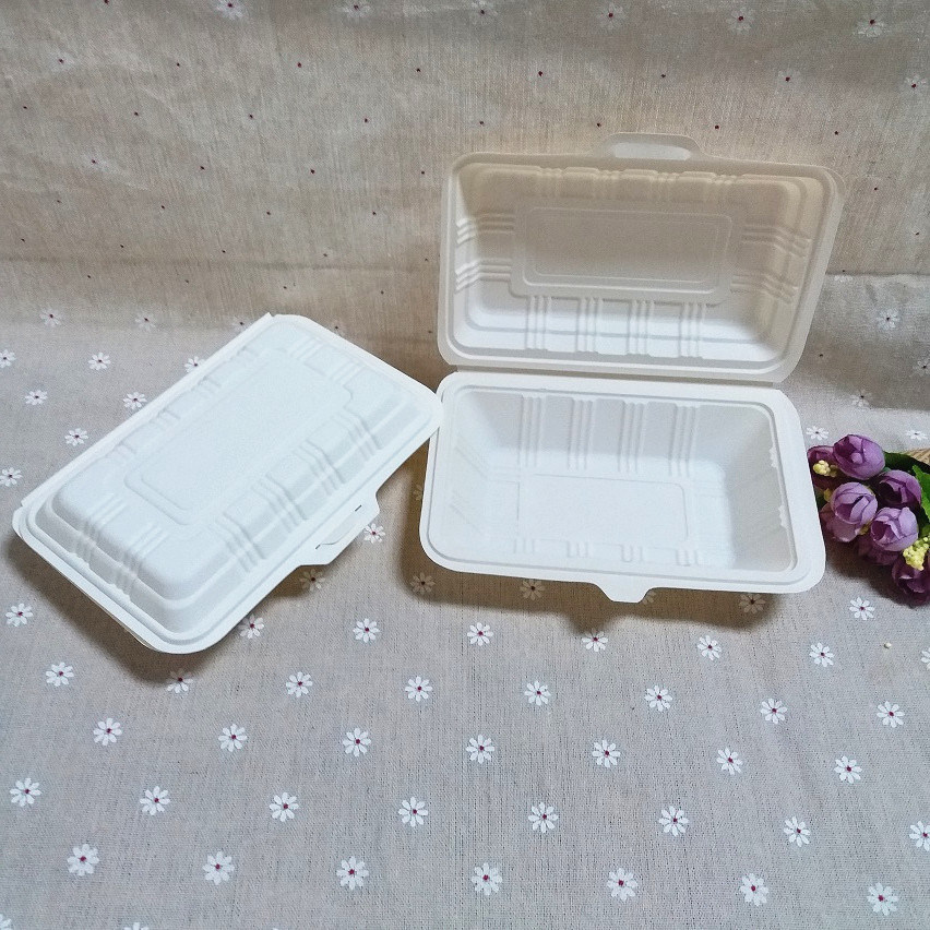 China Biodegradable Camping Food Packaging Box Disposable Fast Food Box