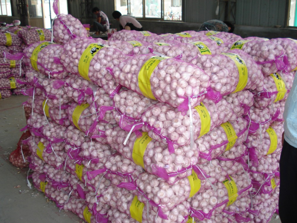 New crop natural fresh normal white garlic New crop natural fresh normal white garlic