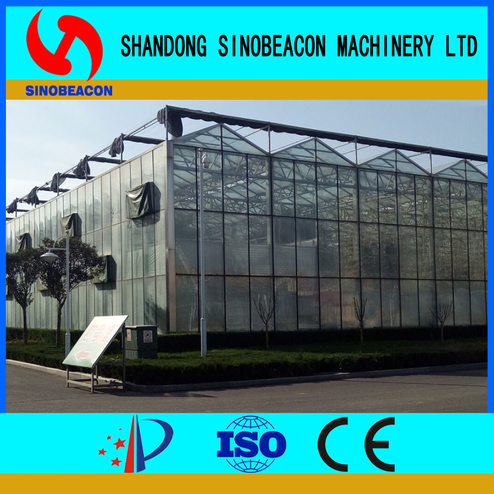 Commercial Greenhouse Mainly for North America Area