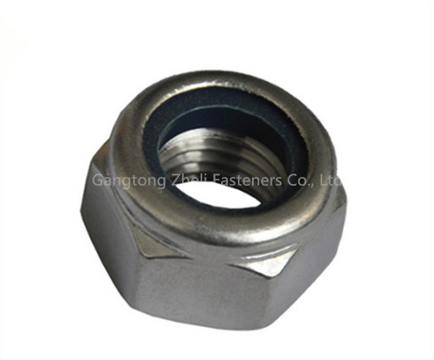 Stainless Steel Nylon Lock Nuts DIN985/DIN982 for Industry