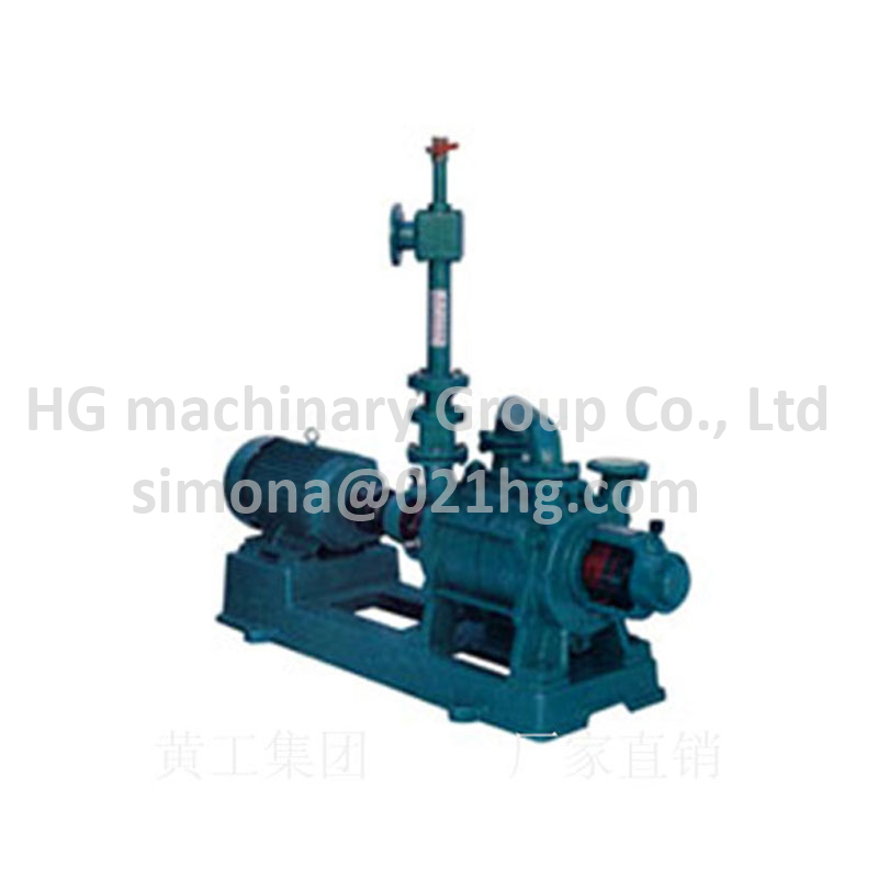 Single Stage Water Ring Vacuum Pump