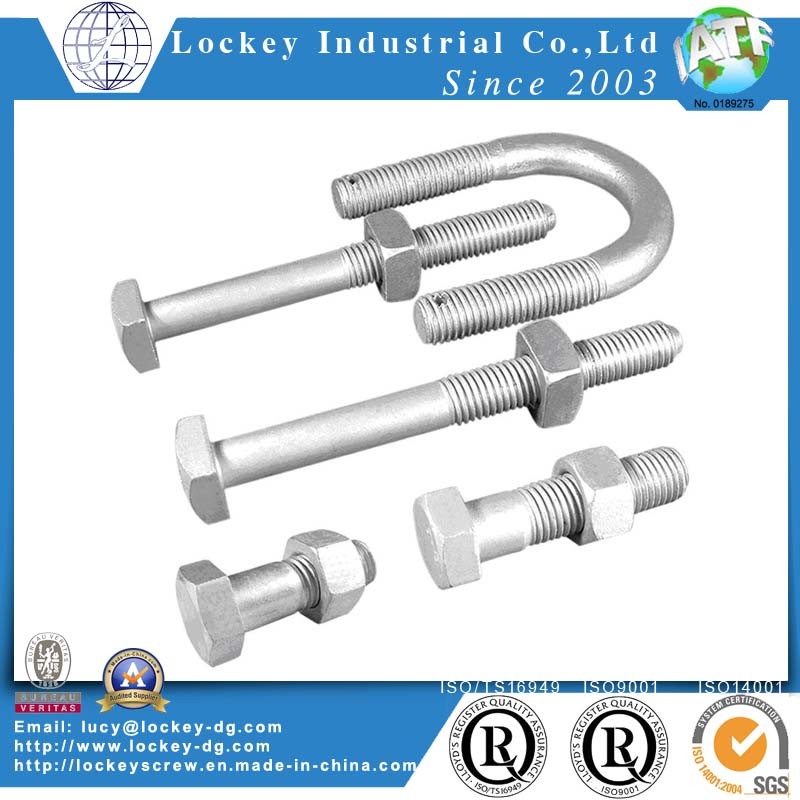 Stainless Steel, Alloy Steel, Steel, Brass U Bolt U-Bolt