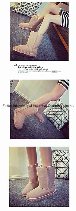 Warm Women Suede Leisure Snow Boots for Winter (FF-1)