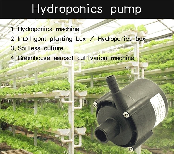 12V 24V 48V Garden Hydroponics Water Pump