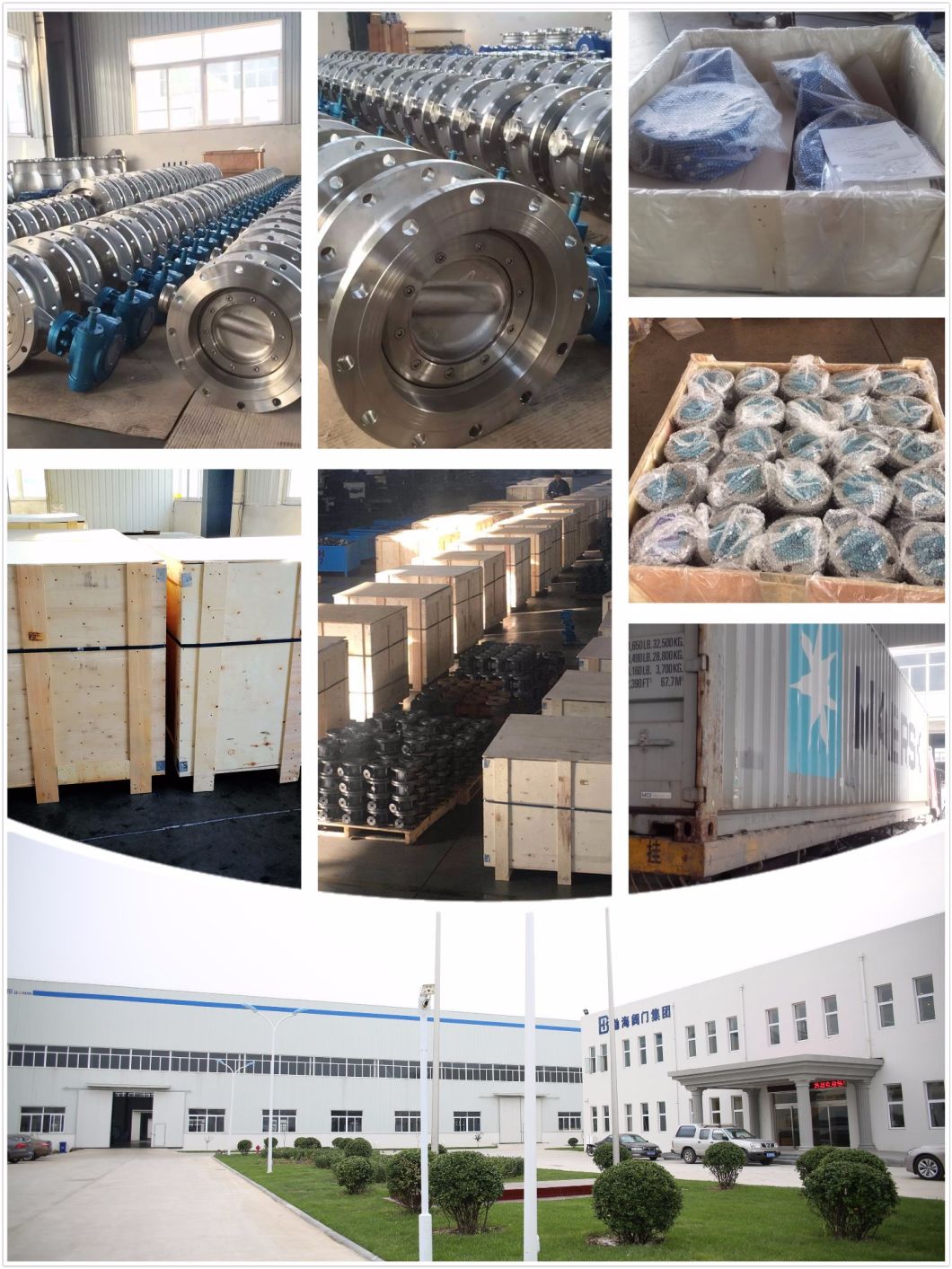 API Metal Seat Triple Offset Butterfly Valve