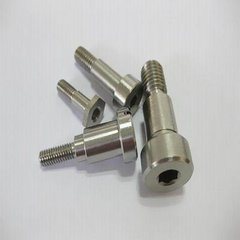 2016 Stainless Steel Non-Standard Screws