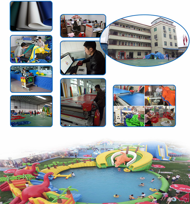 Outdoor Inflatable Giant Family Party Tent (Tent1-210)