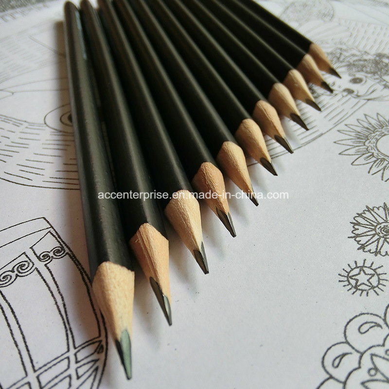 Hb Triangle and Black Barrel Student Pencil