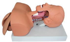 Xy-J-005 Airway Intubation Training Model
