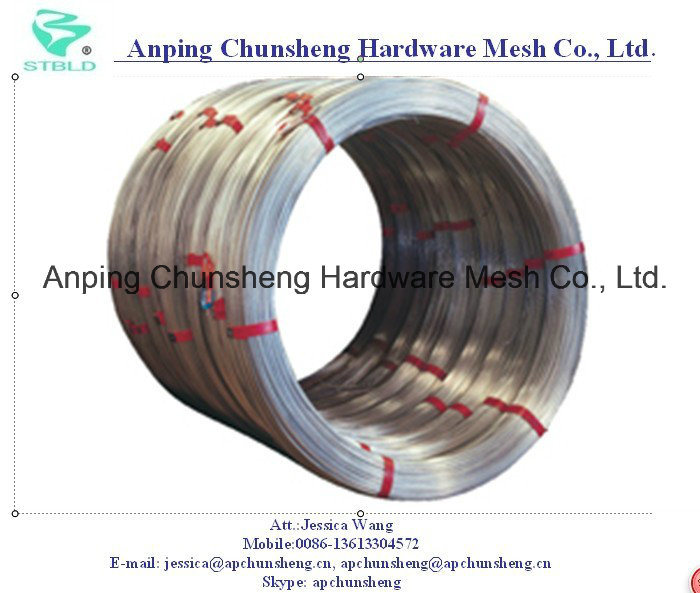 Galvanized Steel Wire for Brazil Market Using