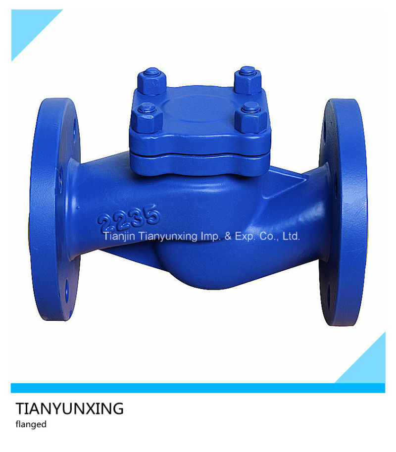 DIN H41h Cast Iron Lifting Flange Check Valve