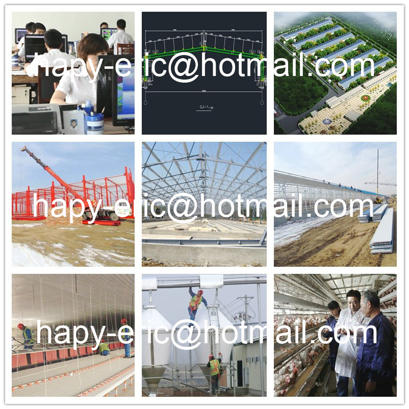 Steel Structure Poultry House Design and Construction with High Standard