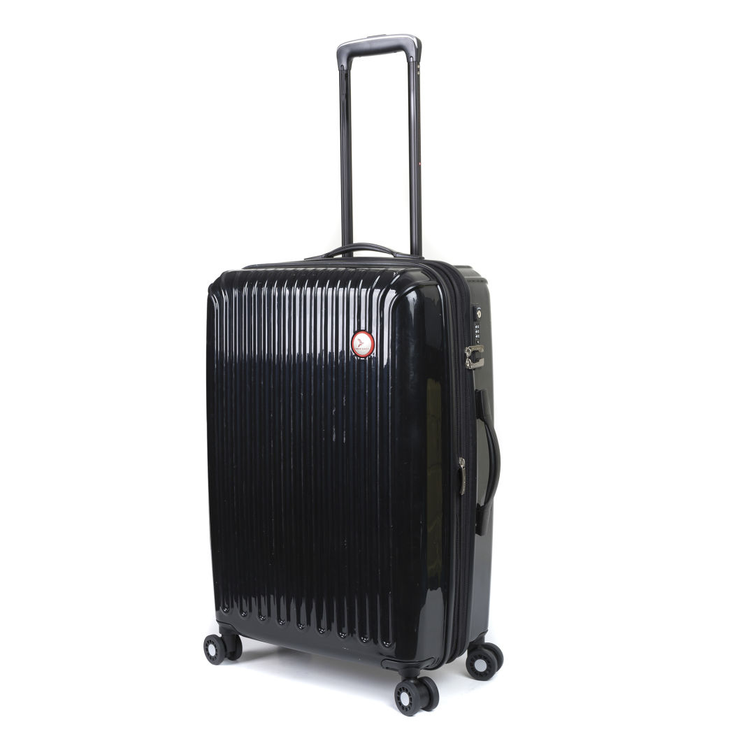 2018 Fashion Design PC+ 210d Polyester Luggage