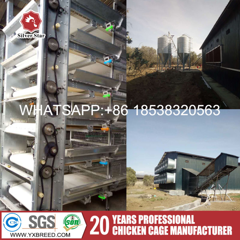 Chicken Breeding Equipment for Hot Sale to Chicken Farm