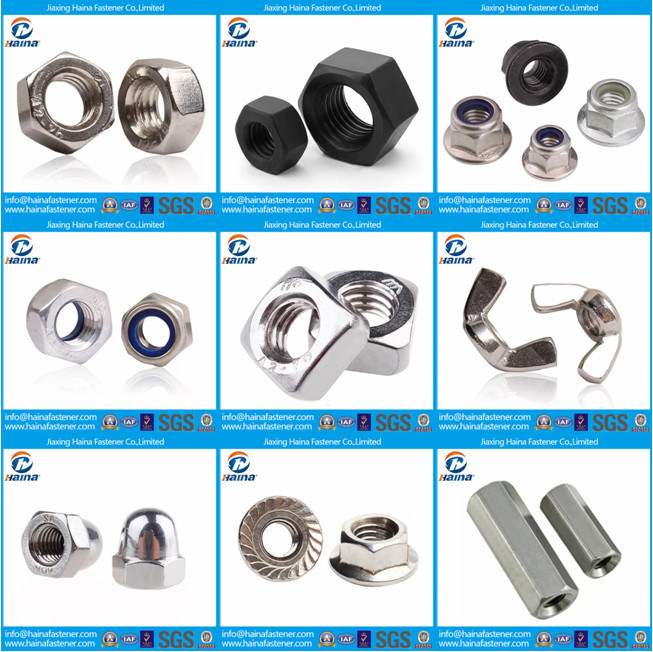 Hex Nut/Cage Nut/Coupling Nut/Rivet Nut/Cap Nut/Square Nut/Tee Nut/Four Claw Nuts