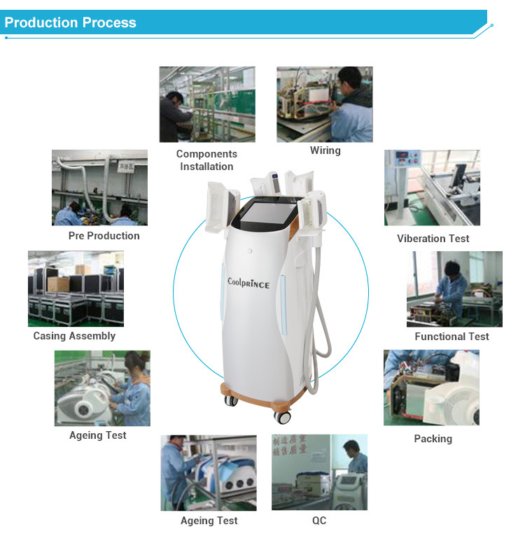 Cryolipolysis/Coolsculpting/Zeltiq Slimming Machine (Medical CE)