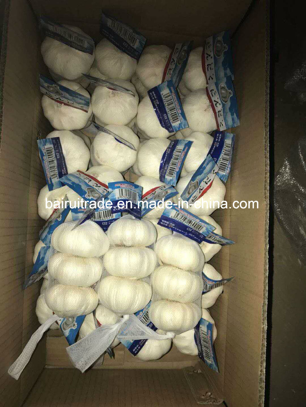 New Crop Fresh Garlic Pure White Garlic From China