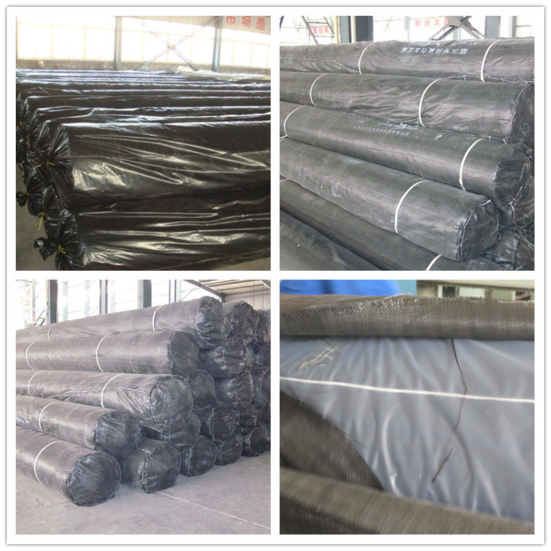 Landfill Liner and Cover Systems