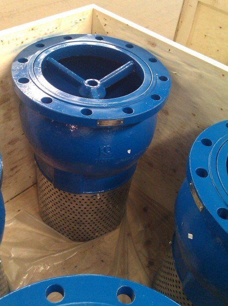 Ss Strainer with Silence Check Foot Valve