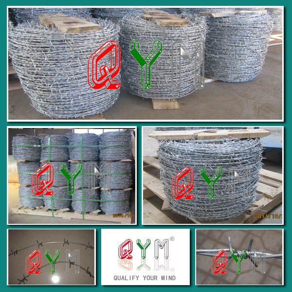 Galvanized Barbed Wire Price / PVC Coated Razor Barbed Wire
