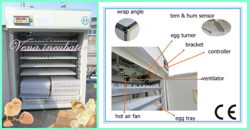 Christmas Goods Factory Wholesale Chicken Egg Incubators for Poultry Eggs Hatching Incubator Va-880