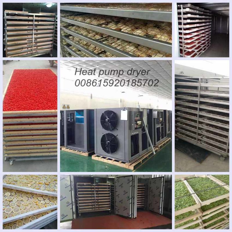 Drying Chamber Type Fruit Dehydration Machine, Dehumidification Industrial Dried Fruit Dryer