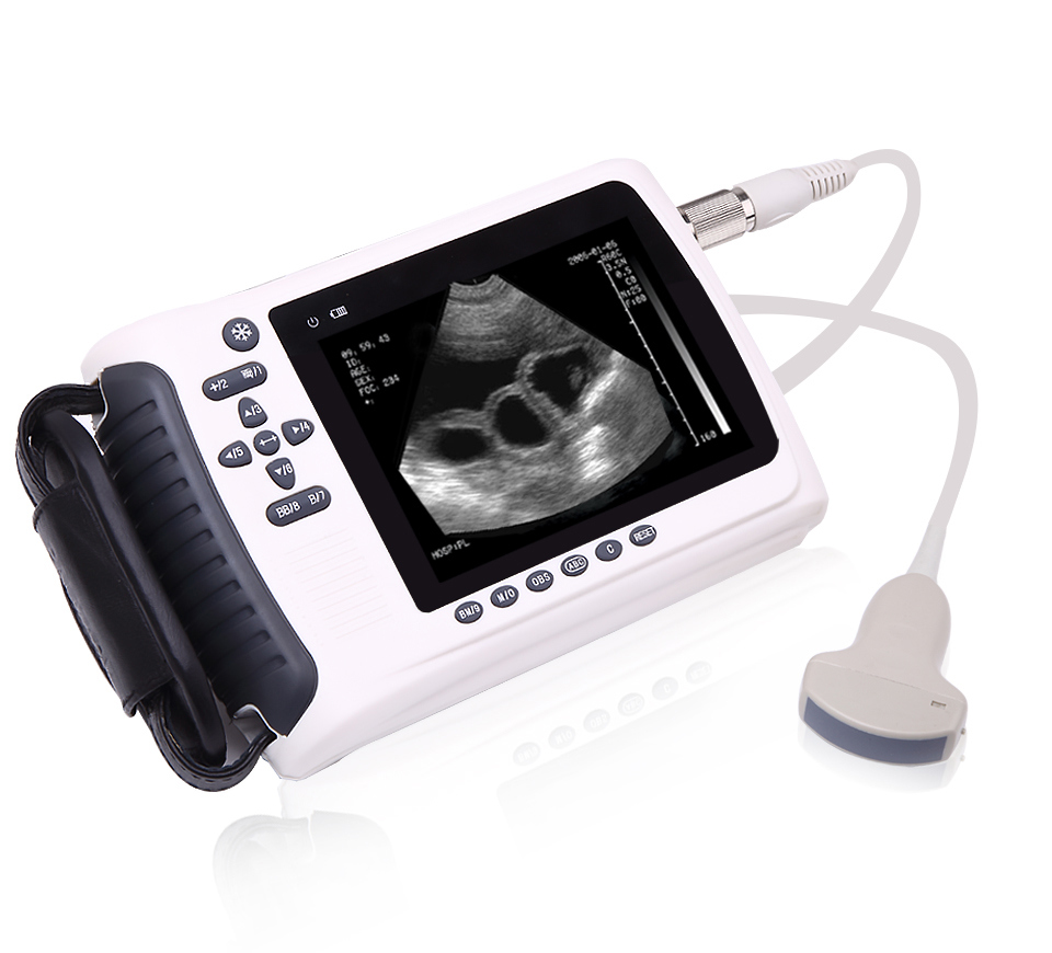 Hot Sale Medical Equipmetn for Examination Pig Device Vet Ultrasound Scanner Mslvu22