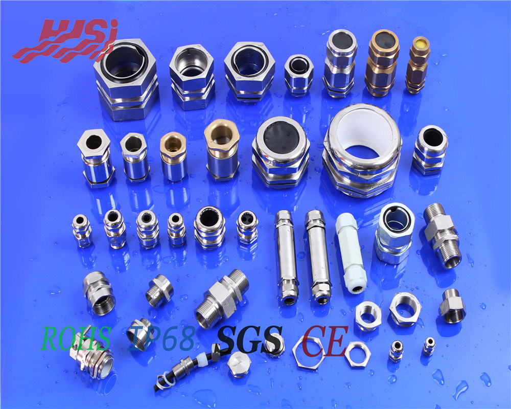 Professional Manufacturer Stainless Steel SUS 304 316 Metal Cable Gland Cable Connector