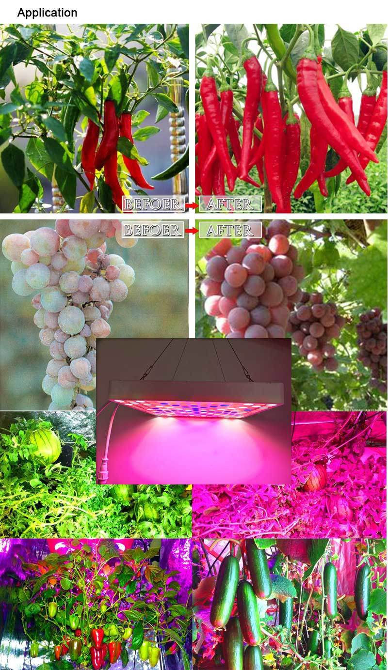 45W LED Grow Light Light Plant Bulbs Plant Growing Bulb