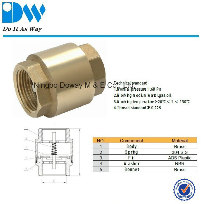 Forged Brass Spring Check Valve